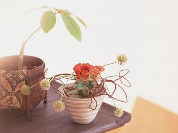 玉川