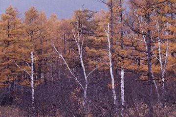 湊川
