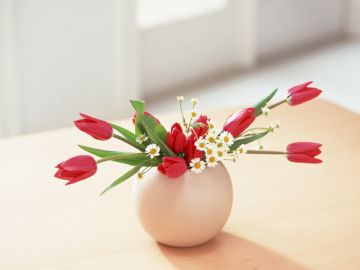 合名会社早川倉庫